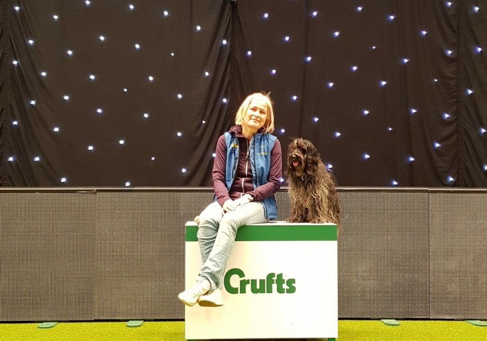 crufts19a-e1559015041648